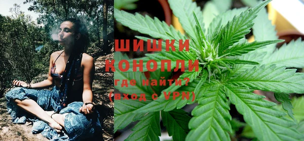 Альфа ПВП Бугульма