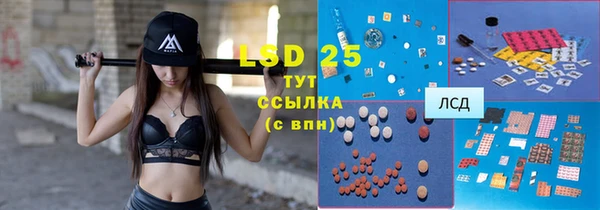 2c-b Бородино
