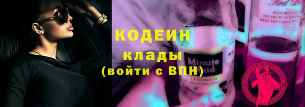2c-b Бородино