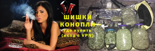 2c-b Бородино